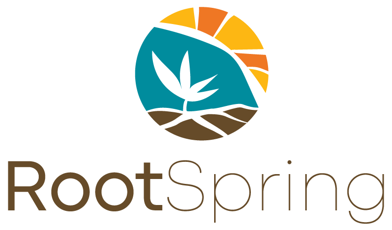 Activating Social Activism Program (ASAP) – RootSpring
